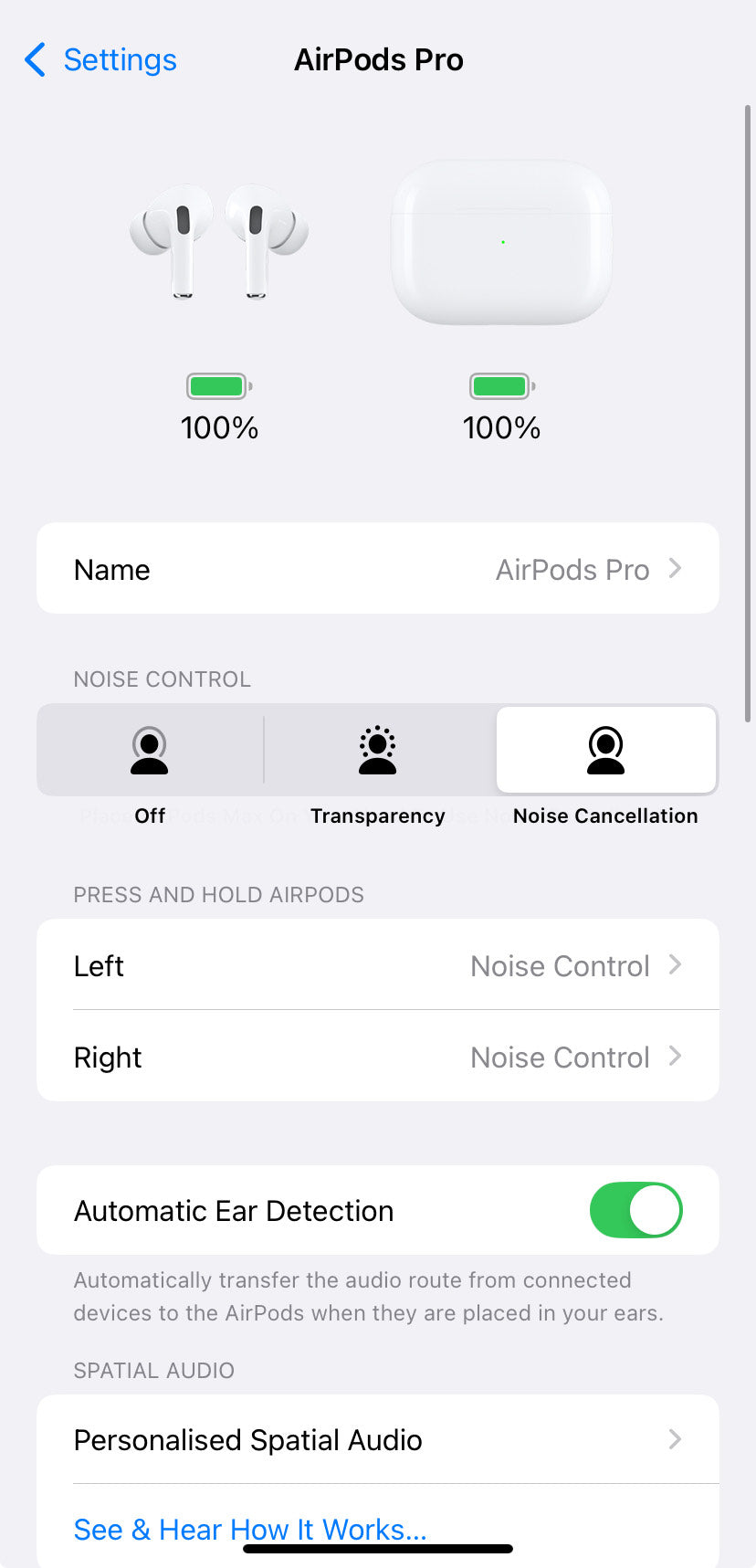 Earphones Pro USA Orginal with MagSafe Case (USB‑C) (White)